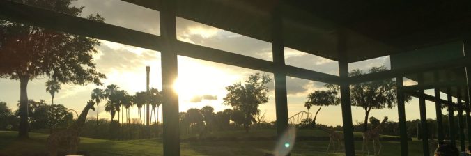Sunset on the Serengeti at Busch Gardens Tampa