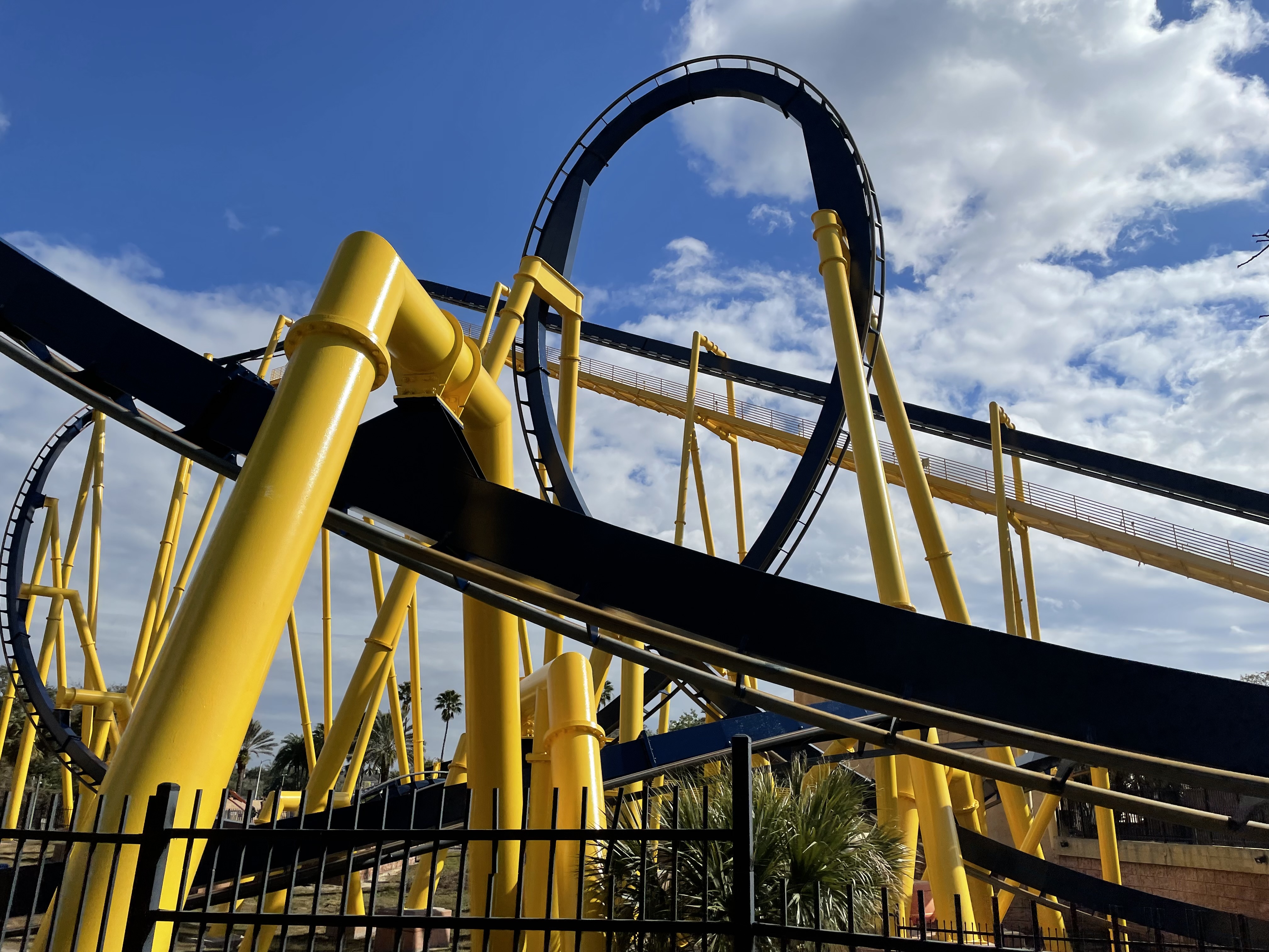 Montu at Busch Gardens