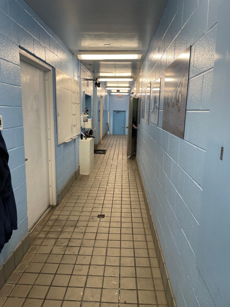 Behind the scenes of the penguin exhibit at SeaWorld San Antonio