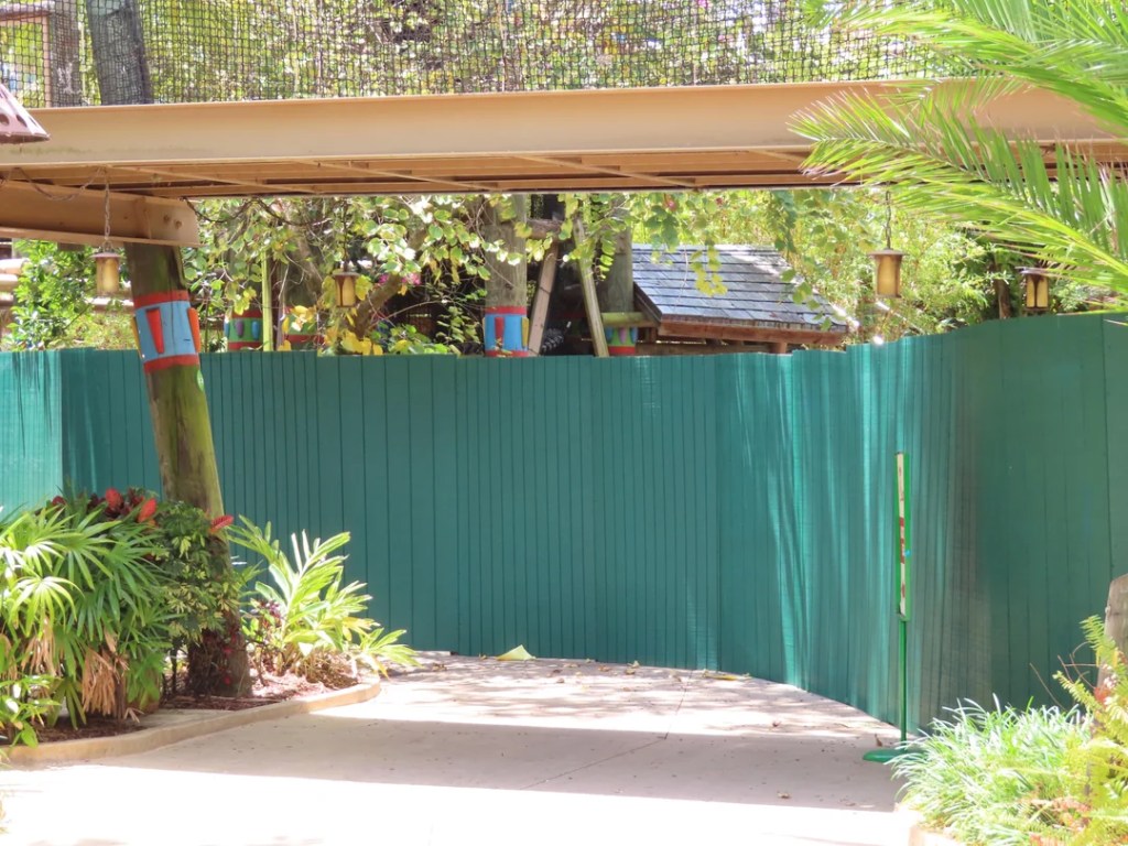 Work walls up at Jungala at Busch Gardens