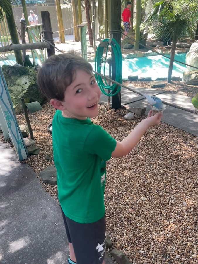 Wild Adventures Rides Food Review of Wild Adventures Ultimate Animal Feeding Package. Amazing ...