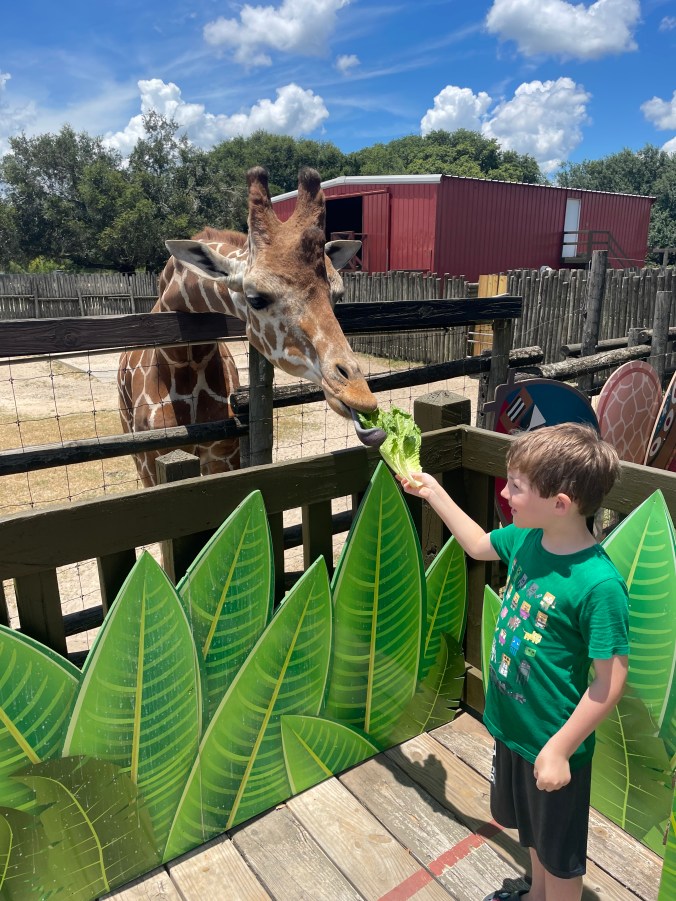 Wild Adventures Rides Food Review of Wild Adventures Ultimate Animal Feeding Package. Amazing ...