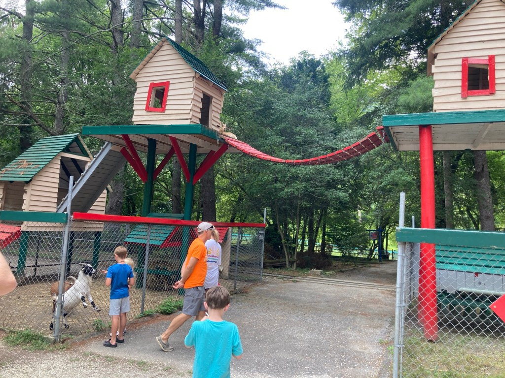 Goats at Santa's Land