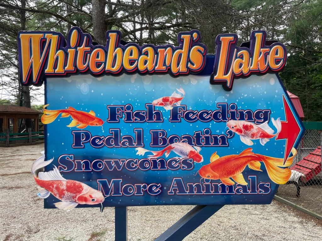 The Pedal Boatin' Whitebeard's Lake at Santa's Land