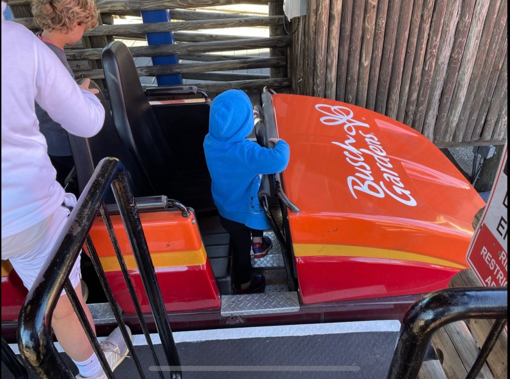 Boy boarding roller coaster
