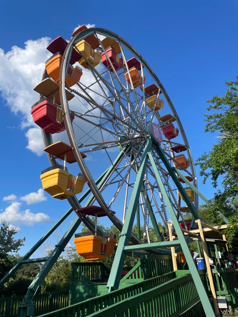 Ferris Wheel at Wild Adventures