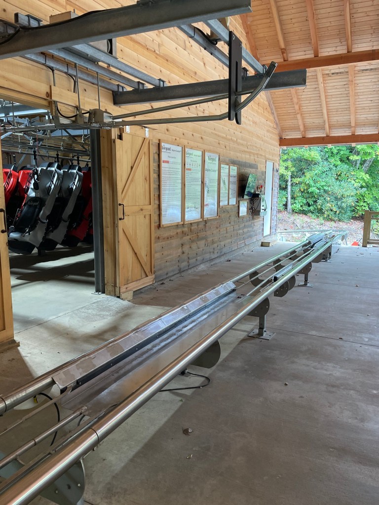 Scaly Mountain Screamer