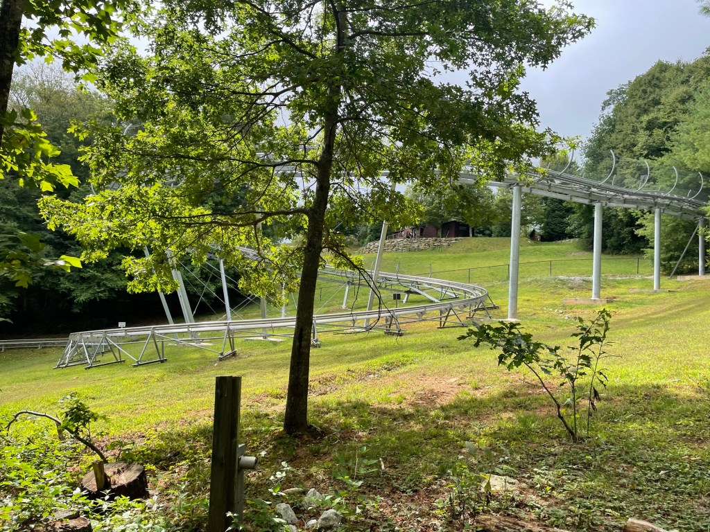 Scaly Mountain Screamer