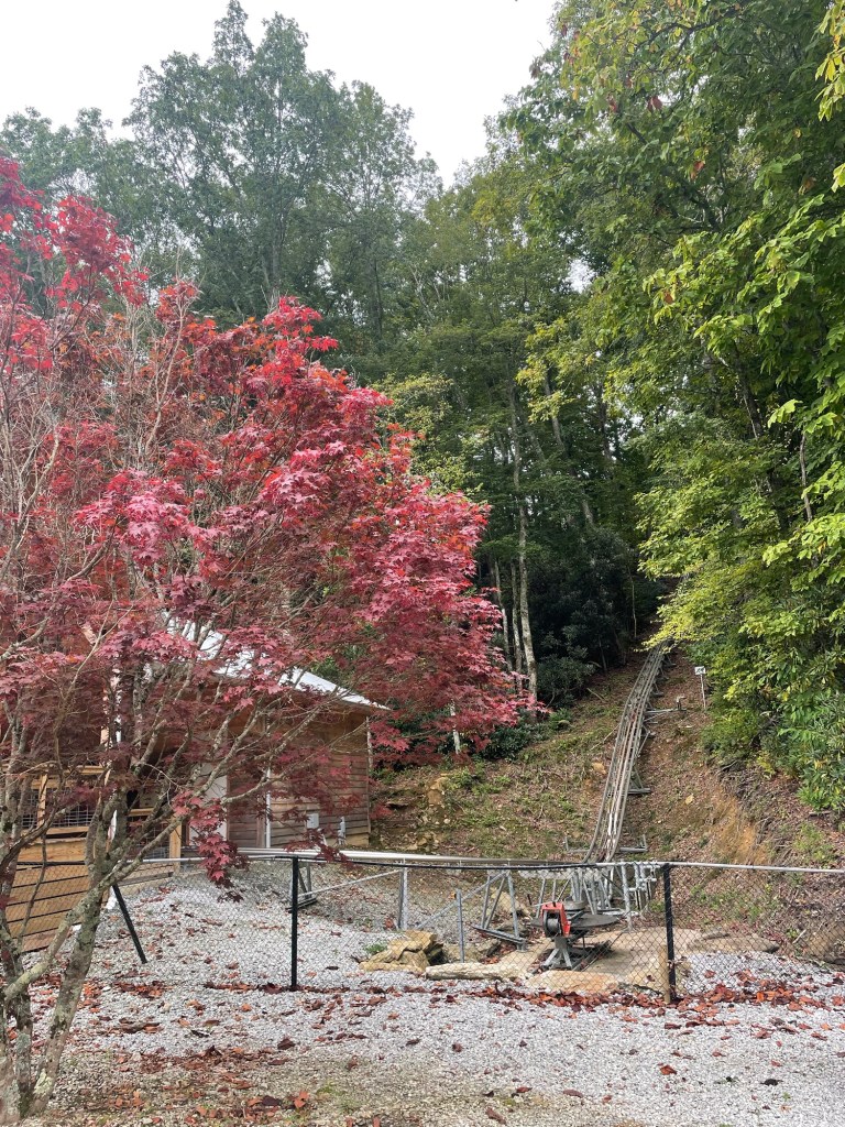 Highlands Outpost trees