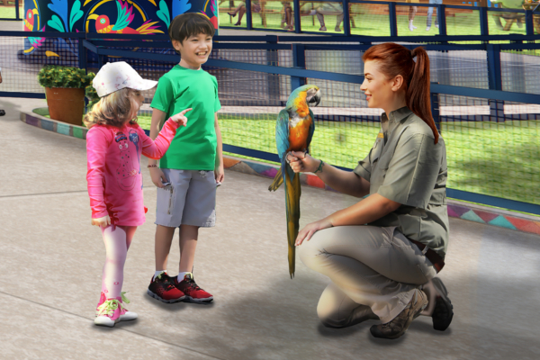 Animal trainer with a bird