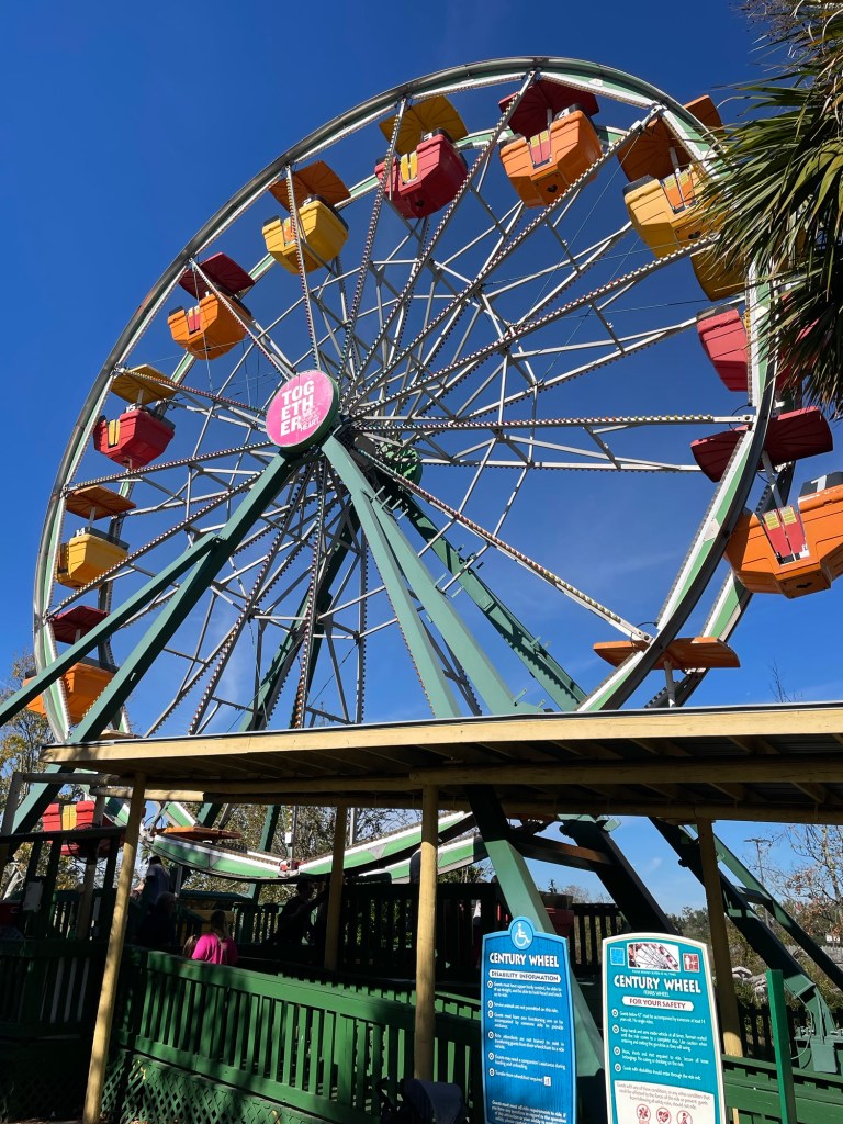 The Ferris Wheel at Wild Adventures