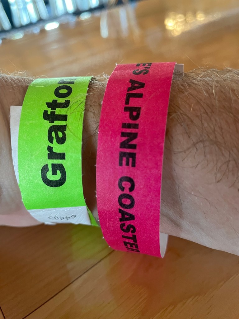 Aerie's Mountain Coaster Ticket