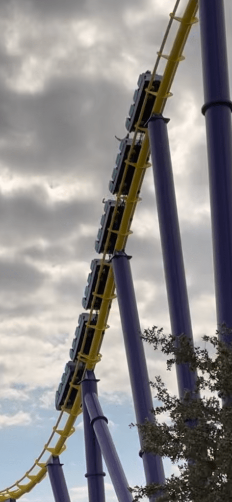 Steel Eel roller coaster at SeaWorld San Antonio