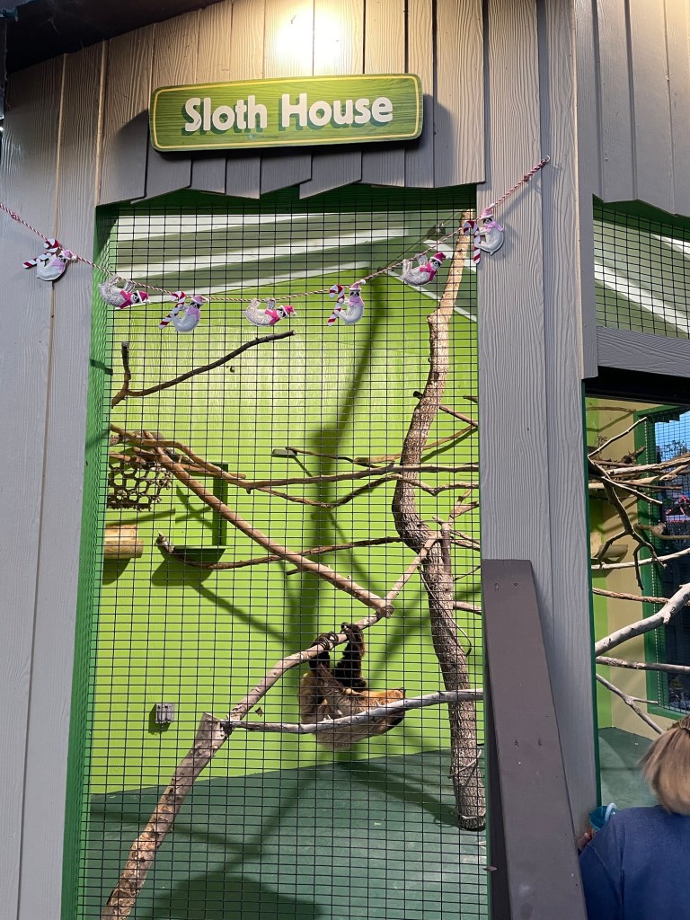 sloths enclosure at Wild Adventures