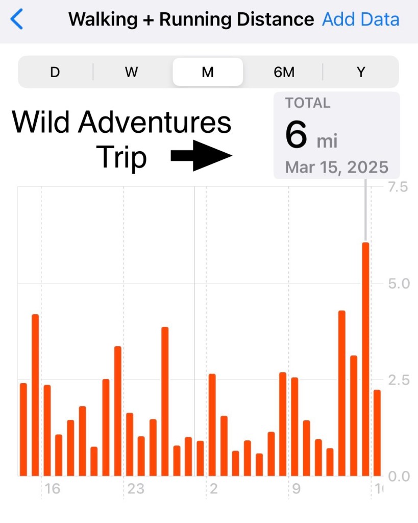 Apple health miles walked