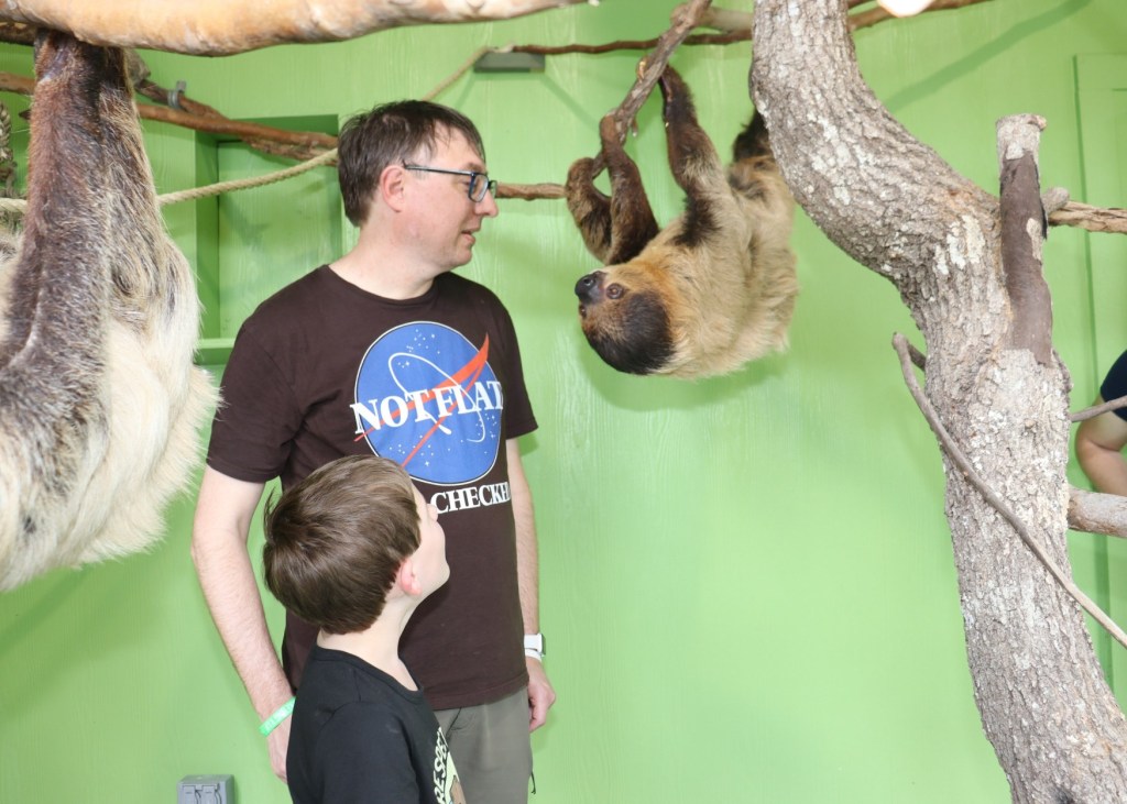 humans with sloths at Wild Adventures