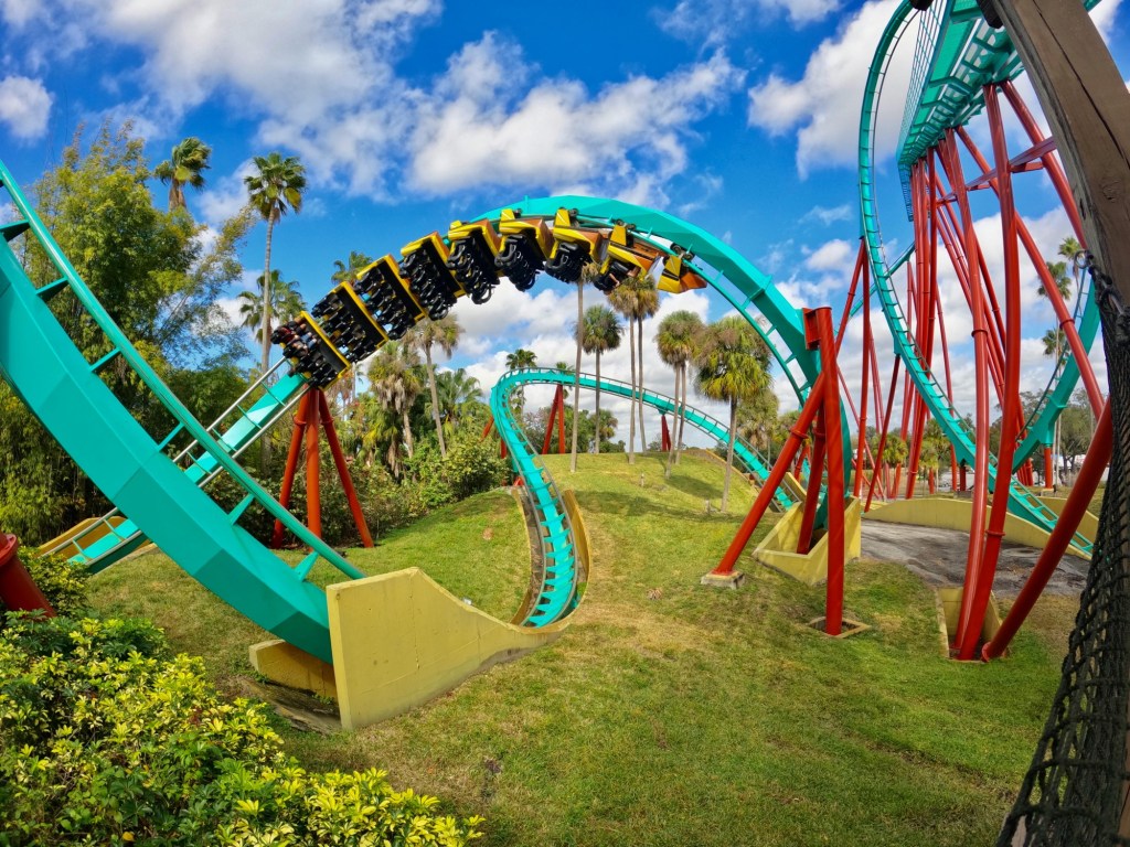 Kumba at Busch Gardens