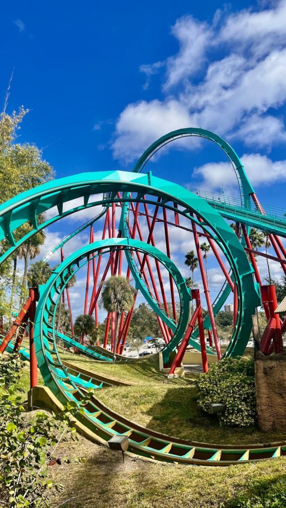 Kumba at Busch Gardens