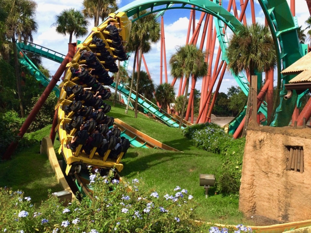 Kumba at Busch Gardens