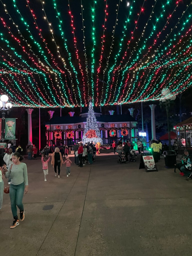 Lights at Six Flags Over Georgia Holiday in the Park