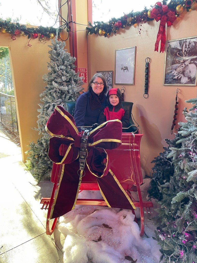 Sleigh picture spot at Six Flags Over Georgia Holiday in the Park