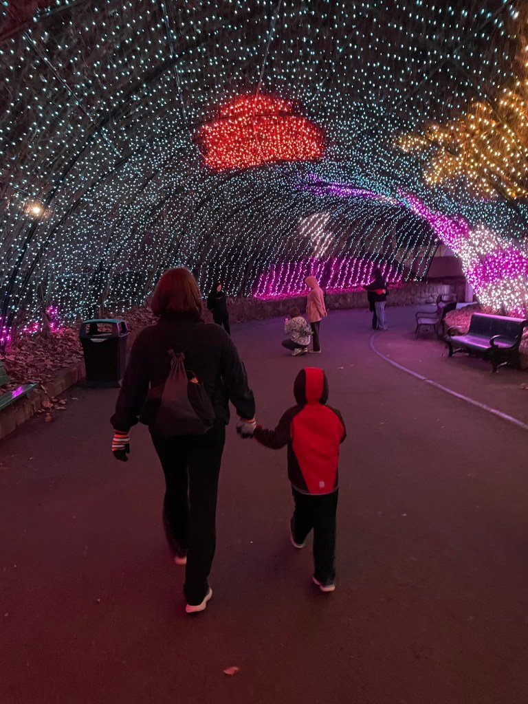 Lights at Six Flags Over Georgia Holiday in the Park