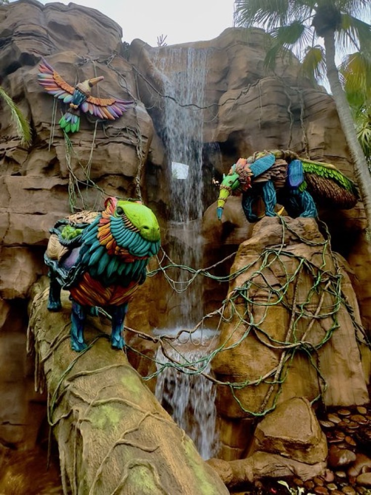 Wild Oasis at Busch Gardens is Now Open! | BGT Safari