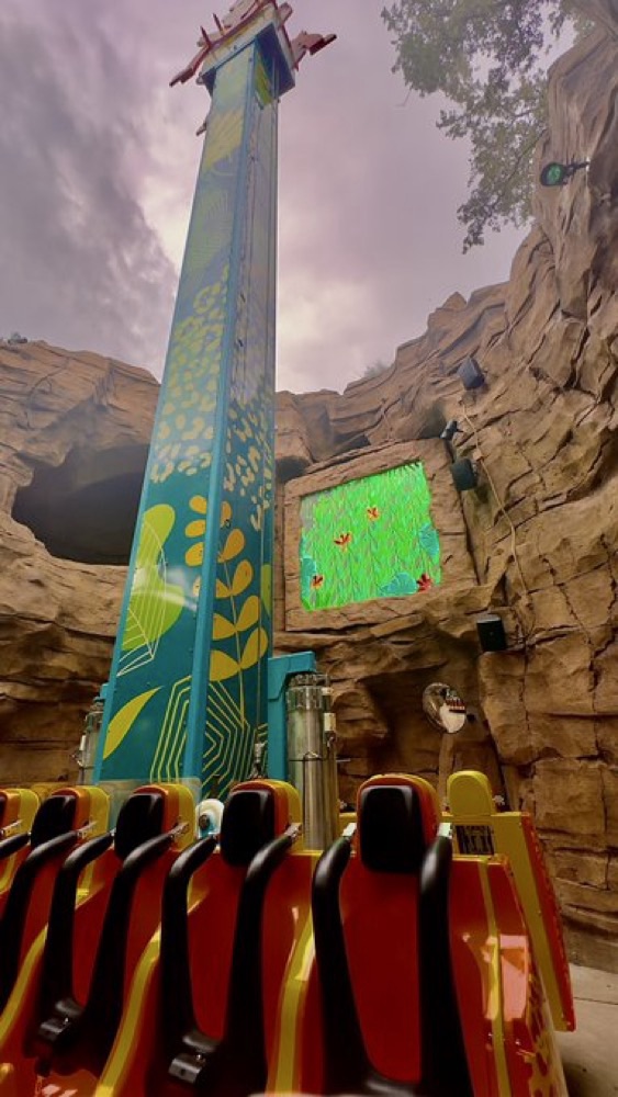 TreeTop Drop Ride at Busch Gardens Wild Oasis