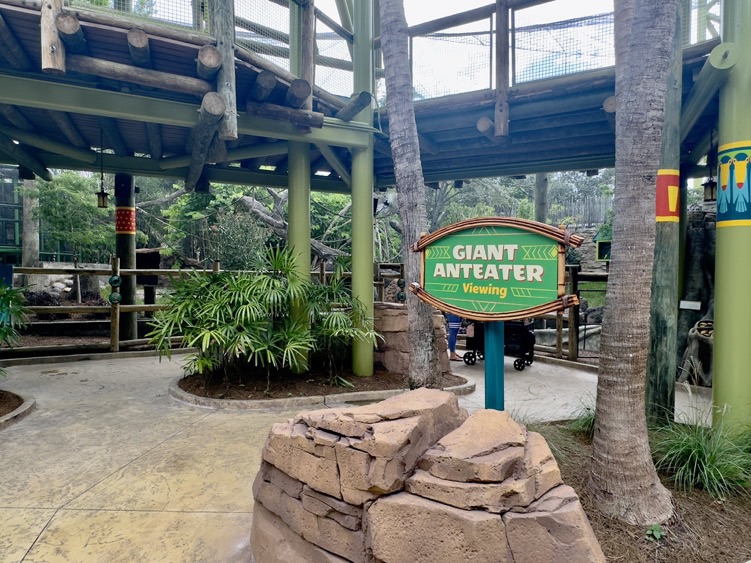 Animals at Wild Oasis at Busch Gardens