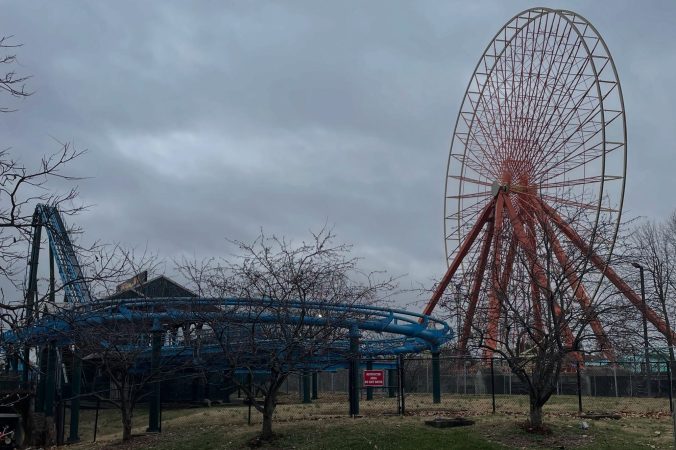 Kentucky Kingdom trees in front of Ferris wheel and roller coaster