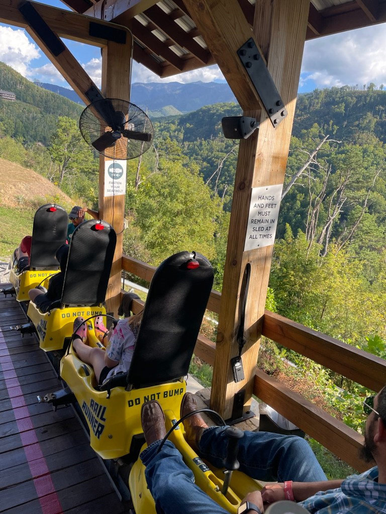 Rail Runner Mountain Coaster at Anakeesta