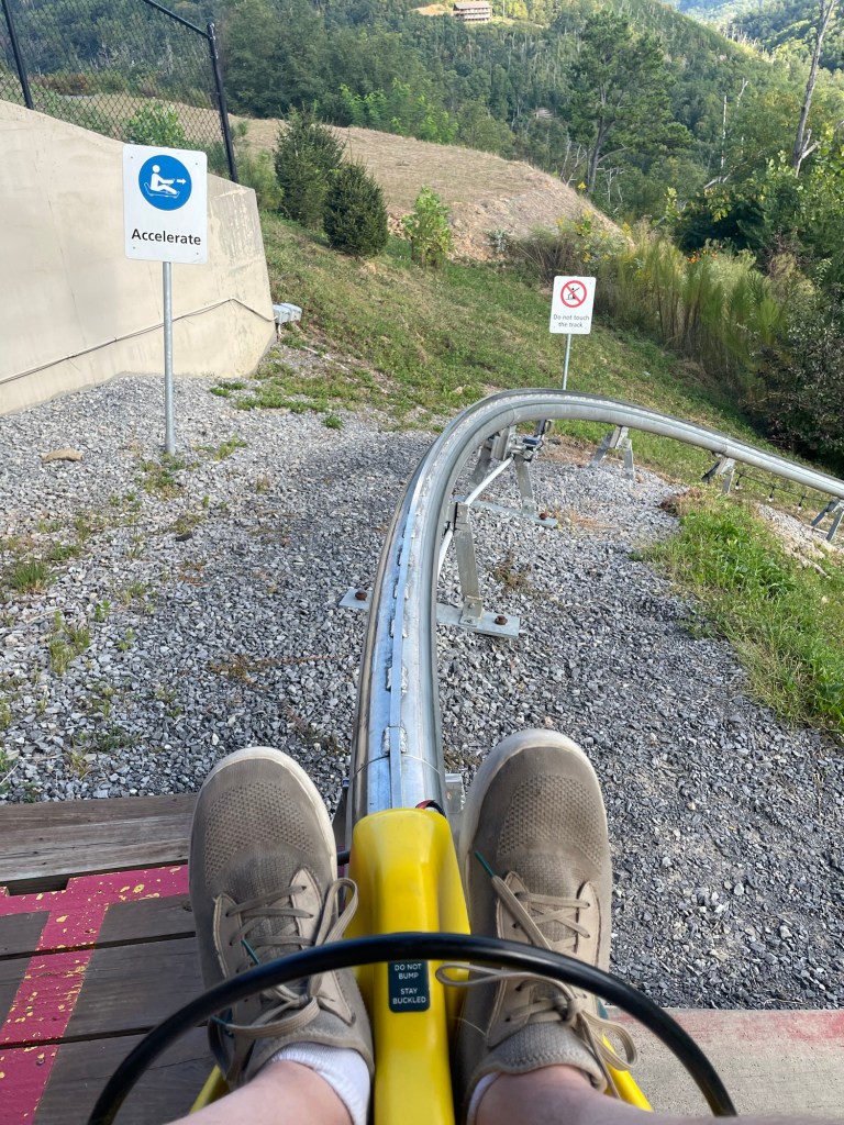 Rail Runner Mountain Coaster Anakeesta