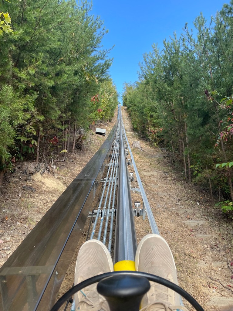 Rail Runner Mountain Coaster Anakeesta