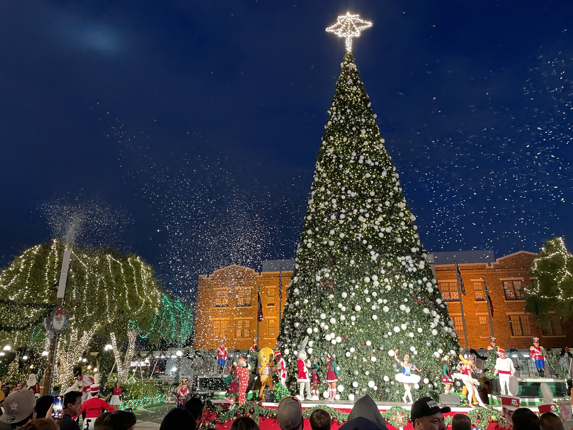 six-flags | BGT Safari