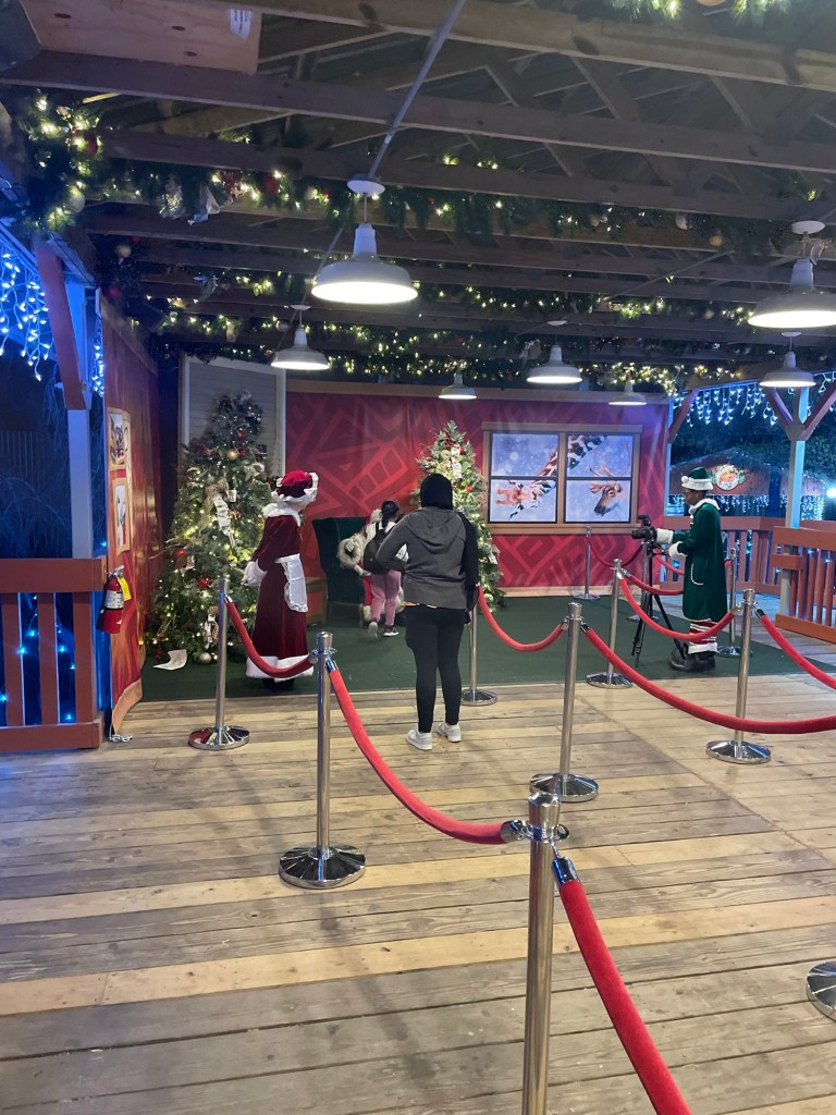 Cheetah Station at Wild Adventures