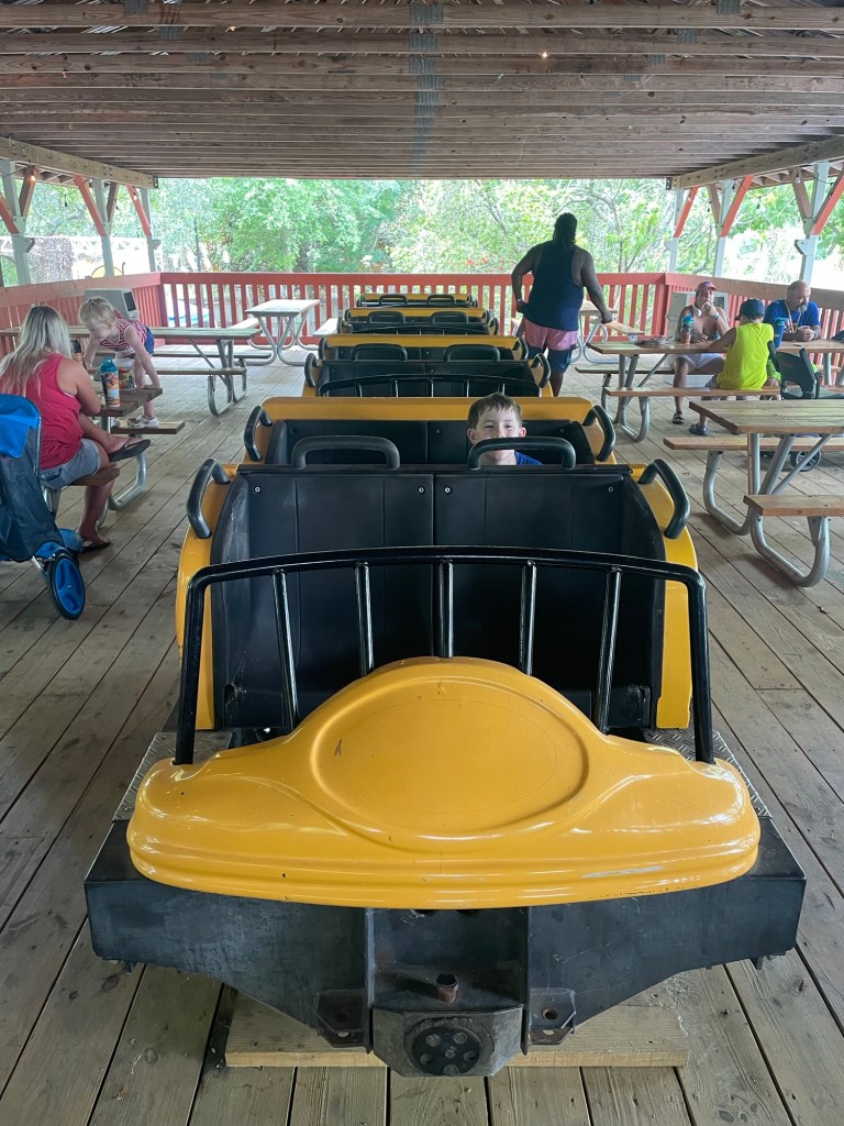 Cheetah Station at Wild Adventures