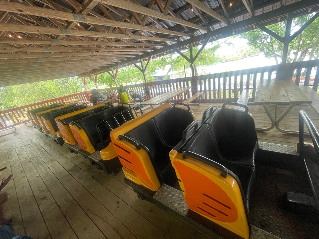 Cheetah Station at Wild Adventures