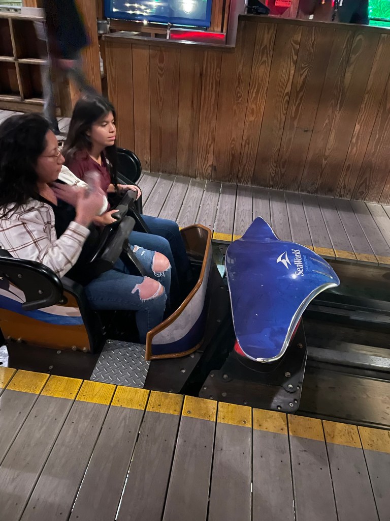 Texas Stingray coaster train