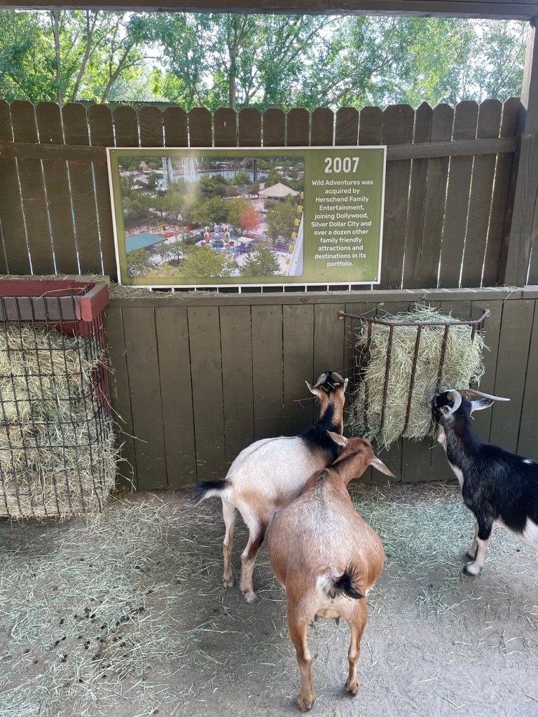 Liberty Farms Petting Zoo at Wild Adventures