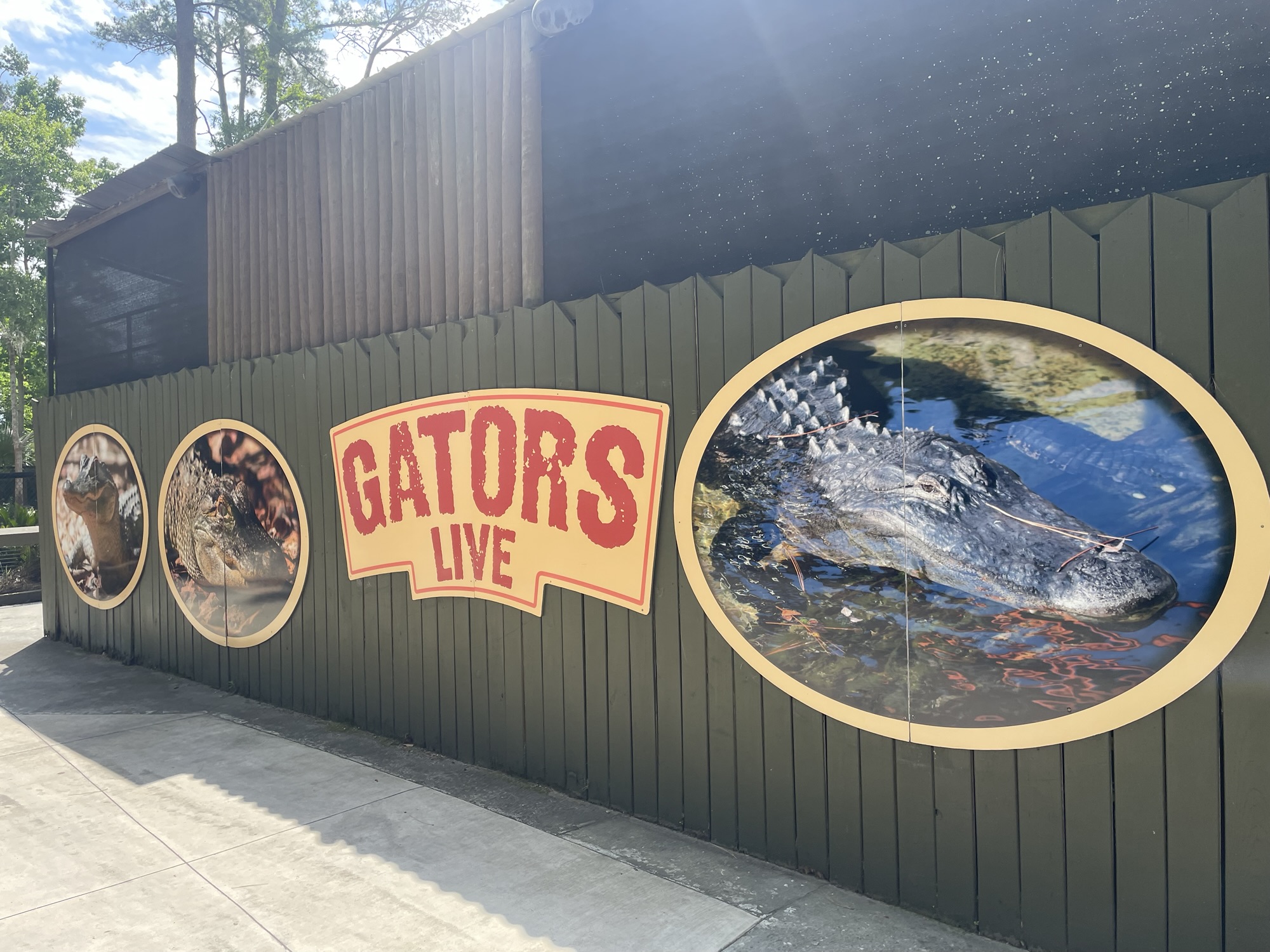 Gators Live at Wild Adventures is an Entertaining and Educational