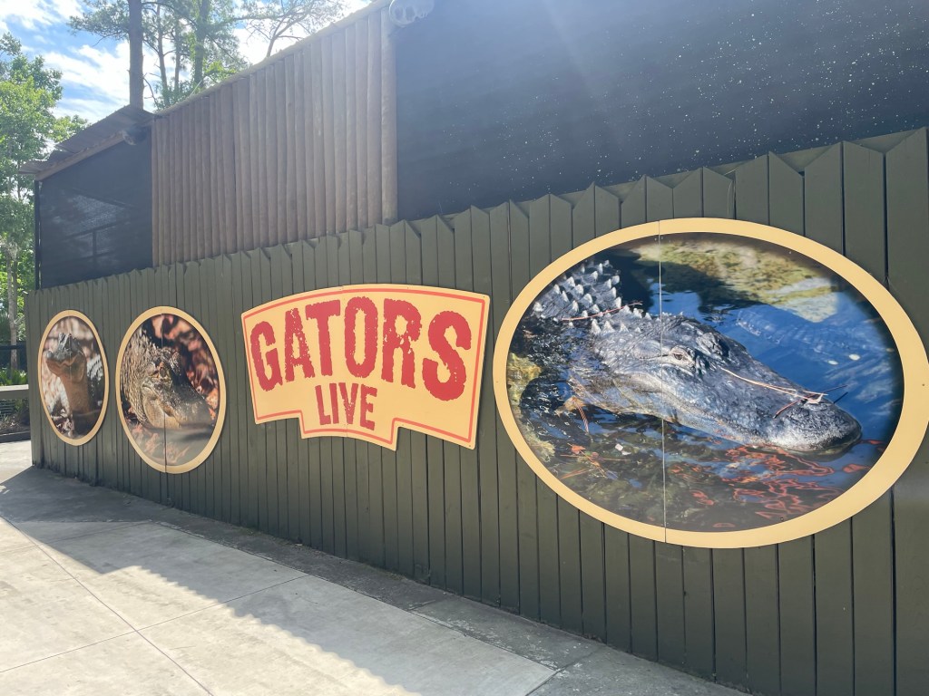 Alapaha Theater for Gators Live Show at Wild Adventures Theme Park