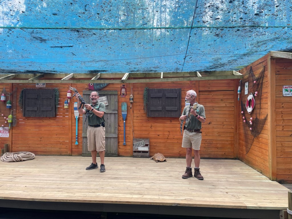 Gators Live Show at Wild Adventures Theme Park