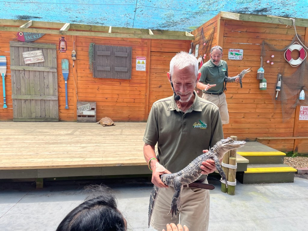 Gators Live Show at Wild Adventures Theme Park