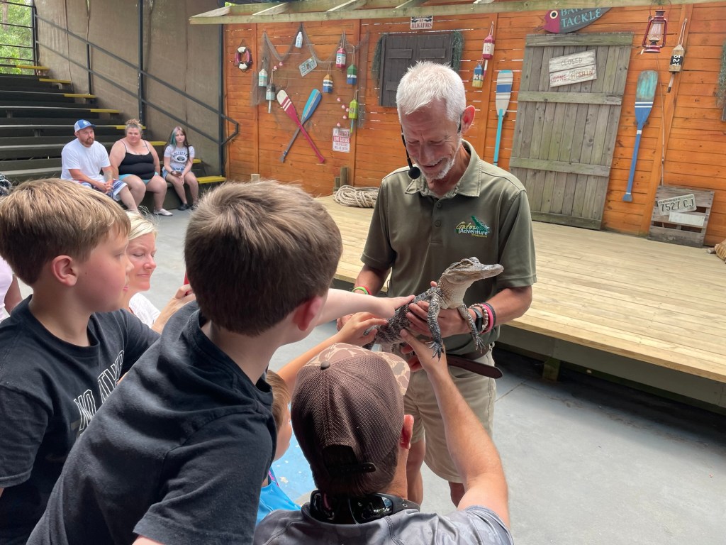Gators Live Show at Wild Adventures Theme Park