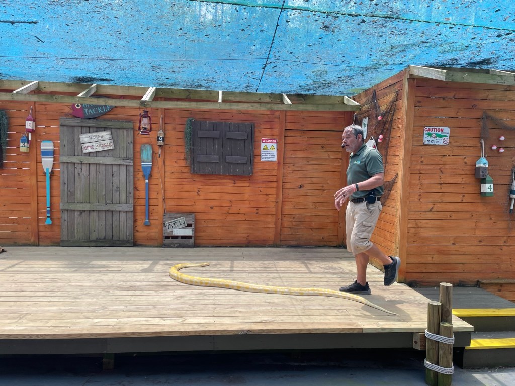 Gators Live Show at Wild Adventures Theme Park