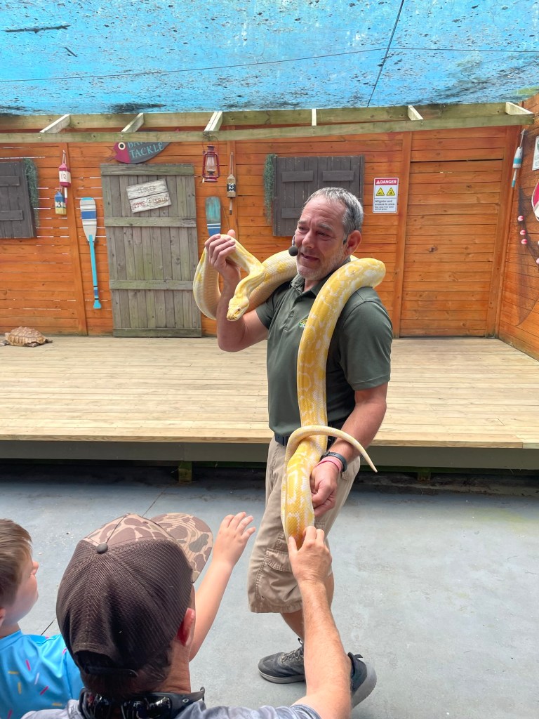 Gators Live Show at Wild Adventures Theme Park snake