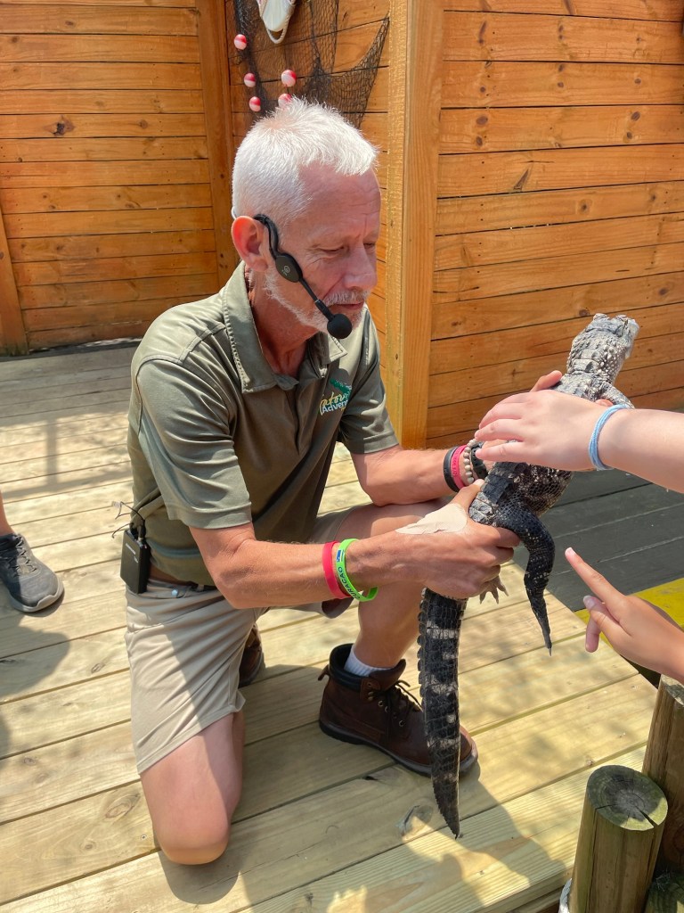 Gators Live Show at Wild Adventures Theme Park