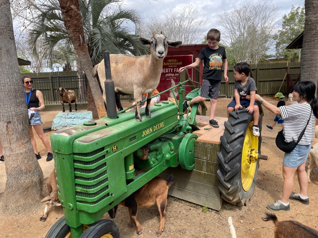 Liberty Farms Petting Zoo at Wild Adventures