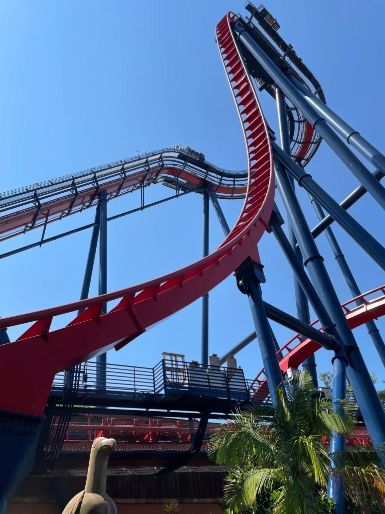 Drop on SheiKra at Busch Gardens