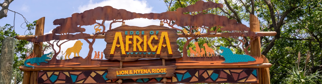 Lion & Hyena Ridge at Busch Gardens Tampa